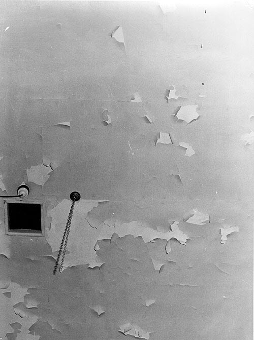 Ceiling 02